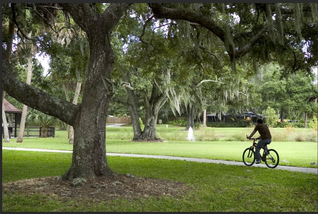 Gillespie Park Neigborhood